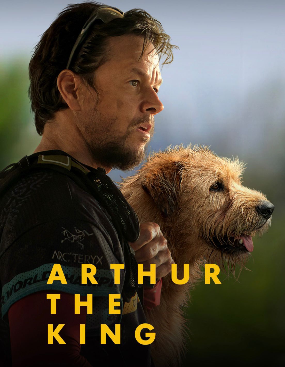 Krush TV Live Streaming. Best IPTV Service Provider in USA